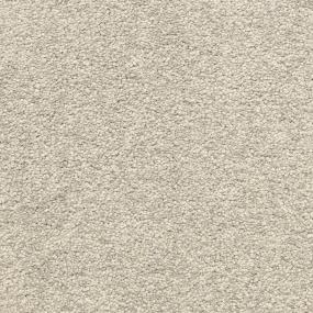 Textured Saxony Pelican Beige/Tan Carpet