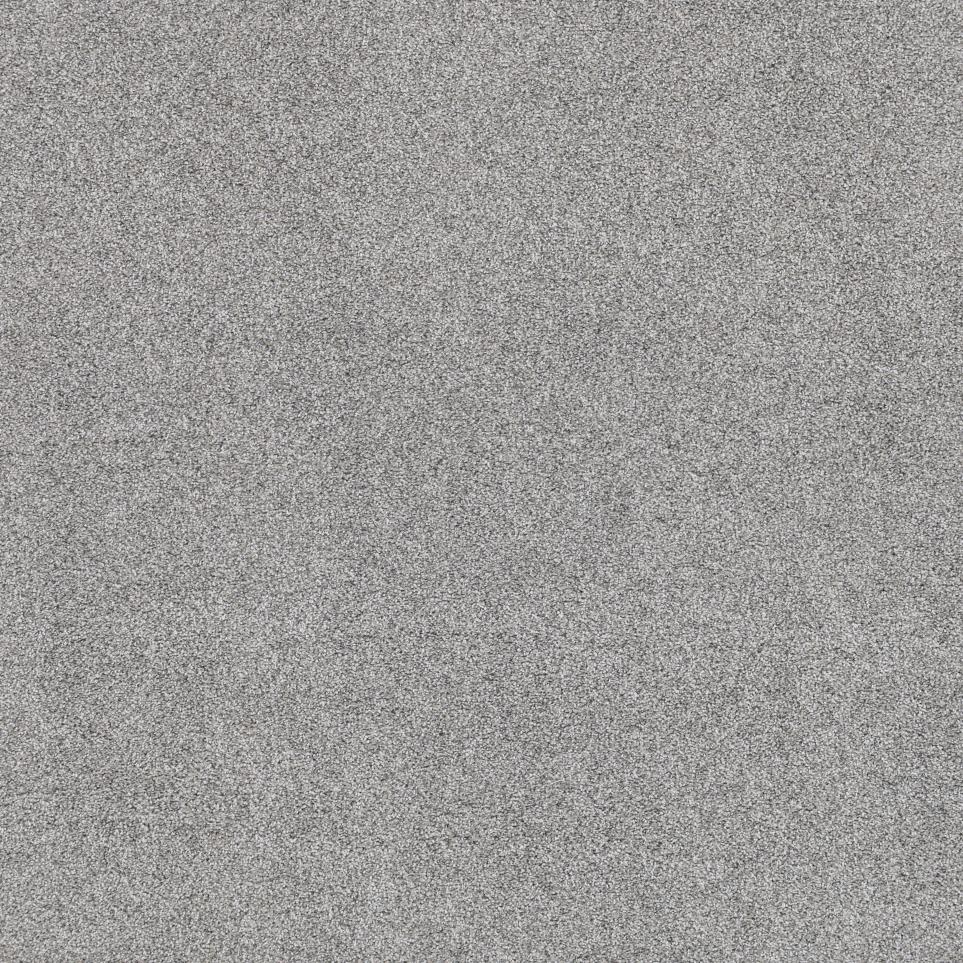 Textured Saxony Silhouette Gray Carpet