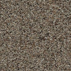Textured Saxony Dovetail Brown Carpet