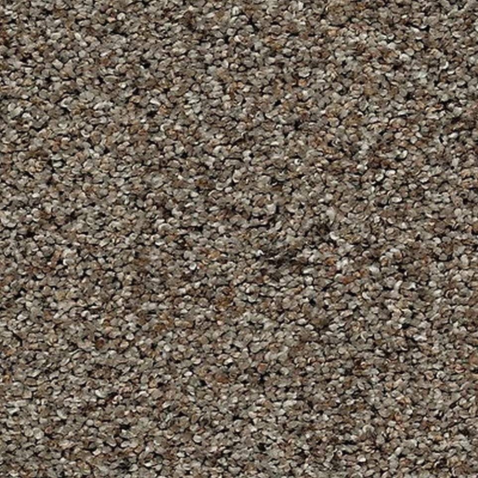 Textured Saxony Dovetail Brown Carpet