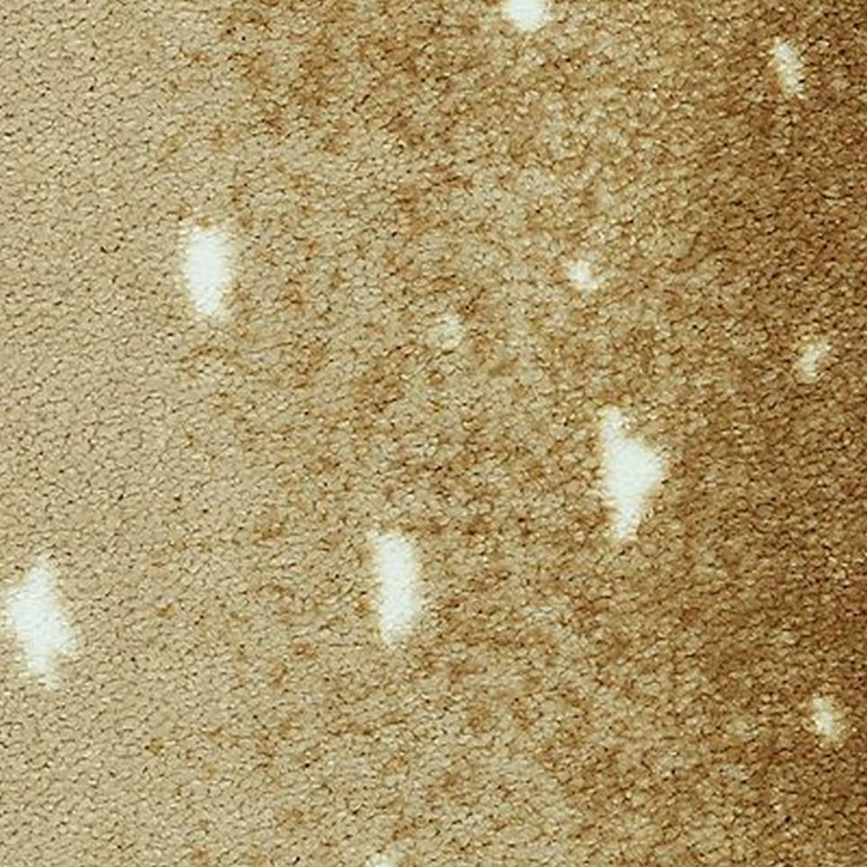 Pattern Golden Antelope Brown Carpet