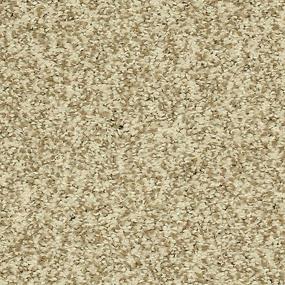Textured Saxony Renoir Bisque Beige/Tan Carpet