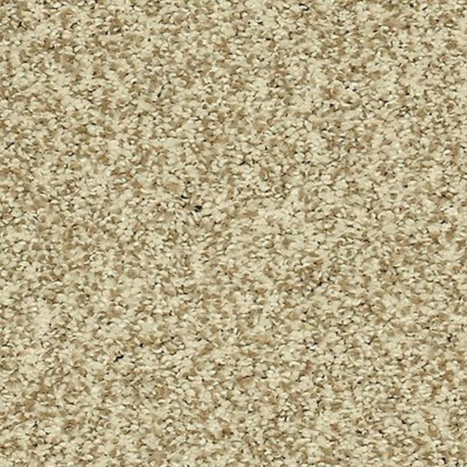 Textured Saxony Renoir Bisque Beige/Tan Carpet