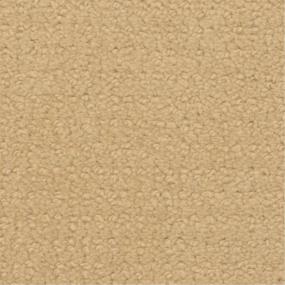 Pattern Golden Retriever Yellow Carpet