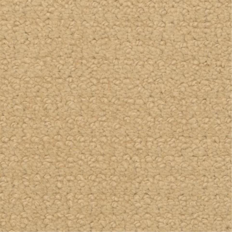 Pattern Golden Retriever Yellow Carpet