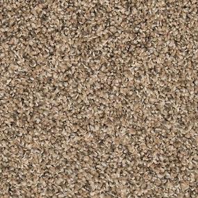 Textured Saxony Wheat  Beige/Tan Carpet