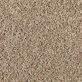 Texture Dried Wheat Beige/Tan Carpet