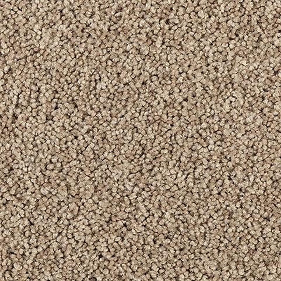 Texture Dried Wheat Beige/Tan Carpet