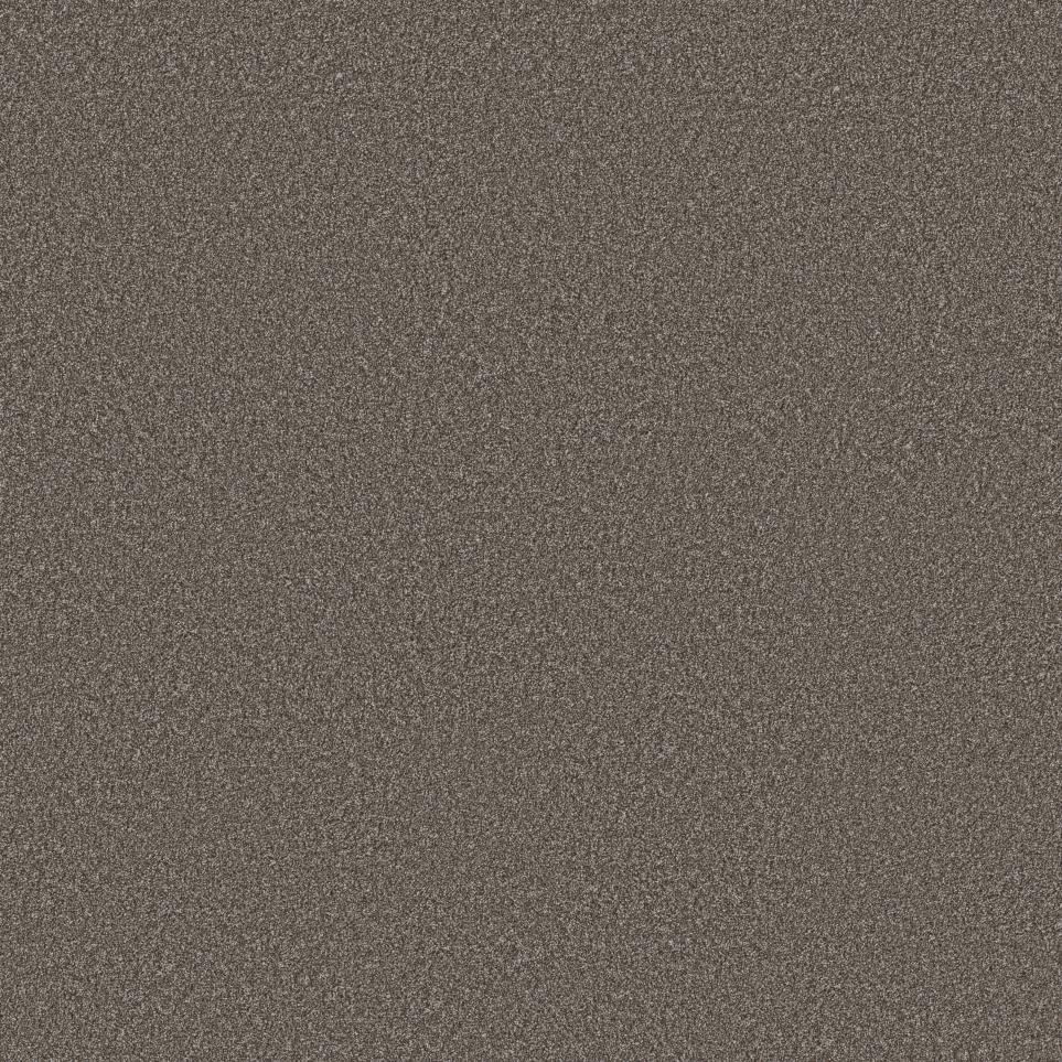 Cut Pile French Roast Brown Carpet