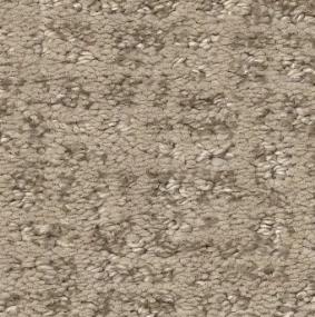 Pattern Surfside Brown Carpet