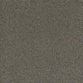 Textured Saxony Hillsdale Brown Carpet