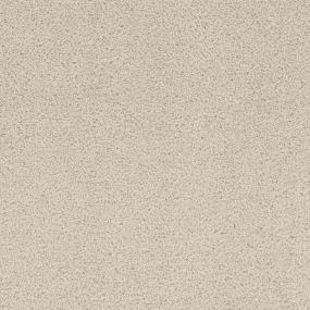 Cut Pile Favorable Beige/Tan Carpet