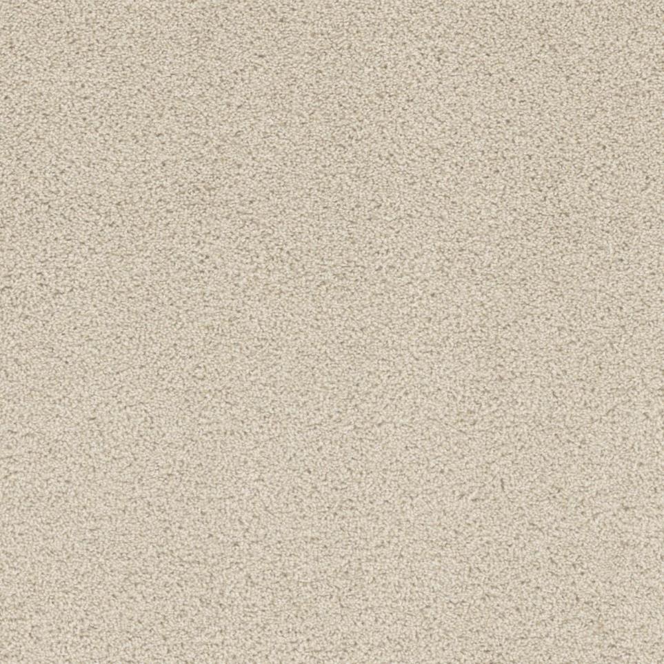 Cut Pile Favorable Beige/Tan Carpet