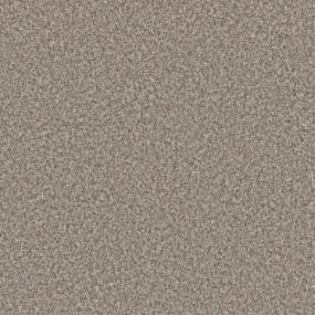 Textured Saxony Regency Beige/Tan Carpet