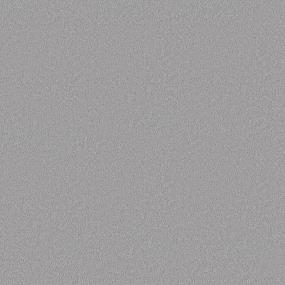 Plush Saxony Jack Frost Gray Carpet