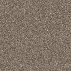 Textured Saxony Impressive Brown Carpet