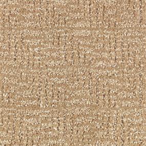 Pattern Rope Beige/Tan Carpet