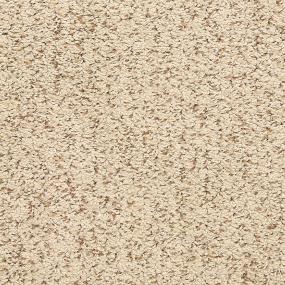 Loop Clam Bake Gray Carpet
