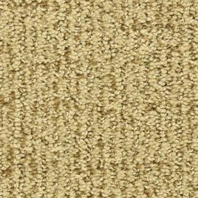 Pattern Splendid Beige/Tan Carpet