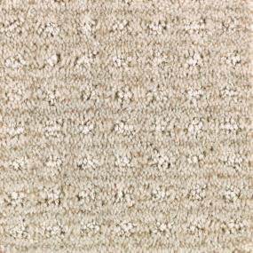 Pattern Bauhaus Buff Beige/Tan Carpet