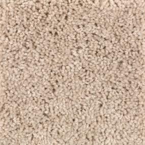 Textured Saxony Applesauce Beige/Tan Carpet