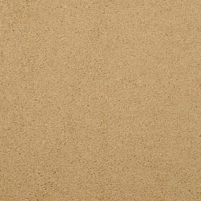 Casual Texture Cape Honey Beige/Tan Carpet