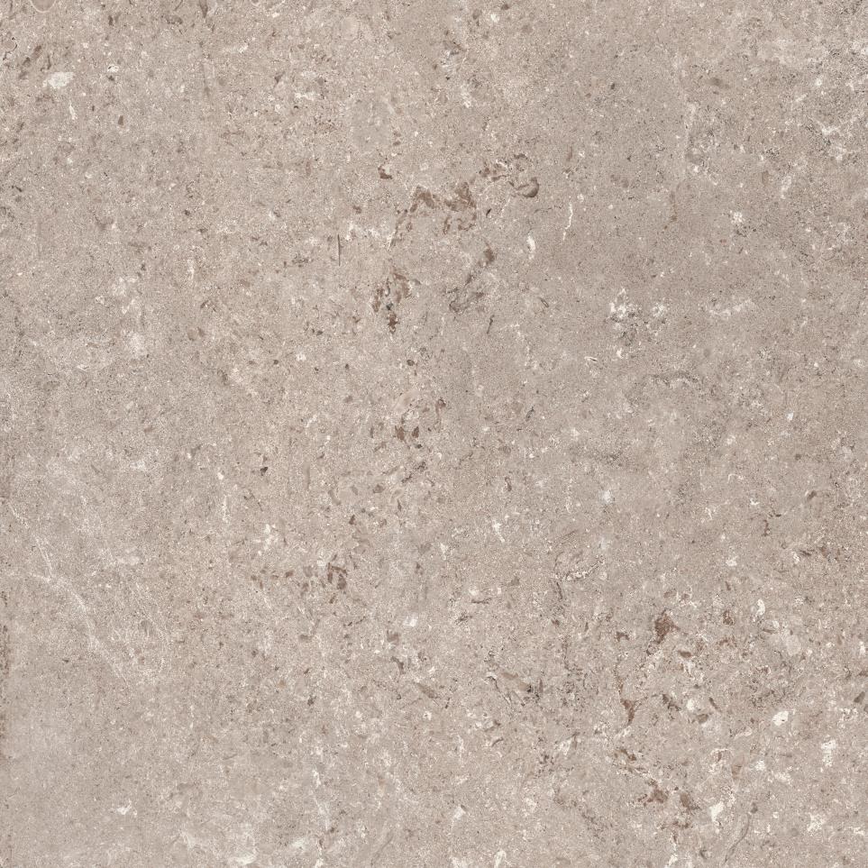 Tile Natural Matte Beige/Tan Tile