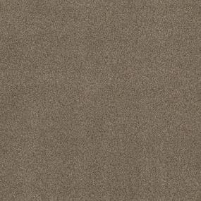 Casual Texture Cigar Beige/Tan Carpet