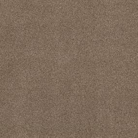 Casual Texture Cigar Beige/Tan Carpet