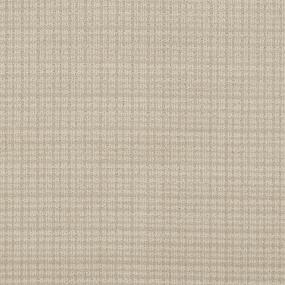 Pattern Glorious Beige/Tan Carpet