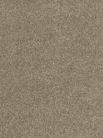 Textured Saxony Foundation Beige/Tan Carpet