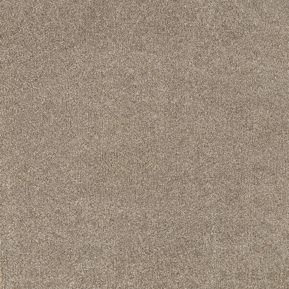 Texture Foundation  Carpet