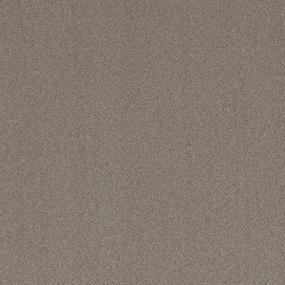 Textured Saxony Captiva Beige/Tan Carpet
