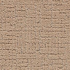 Pattern Native Soil Beige/Tan Carpet