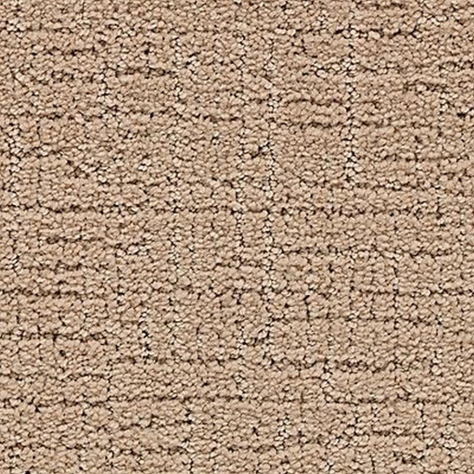 Pattern Native Soil Beige/Tan Carpet