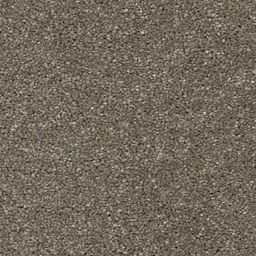 Texture Fancy Brown Carpet