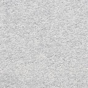 Casual Texture Ebbtide Gray Carpet