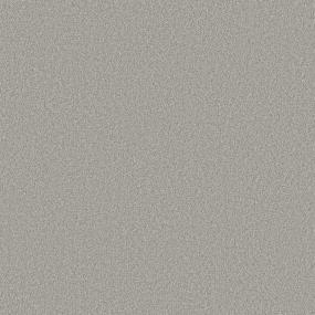Texture Magnetic Gray Carpet
