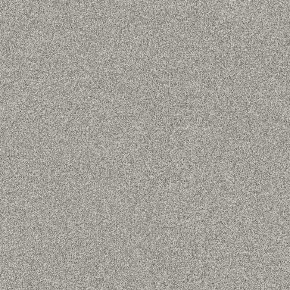 Texture Magnetic Gray Carpet
