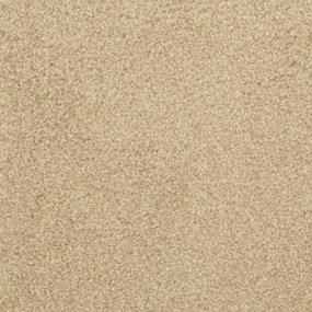 Casual Texture Camelite Beige/Tan Carpet