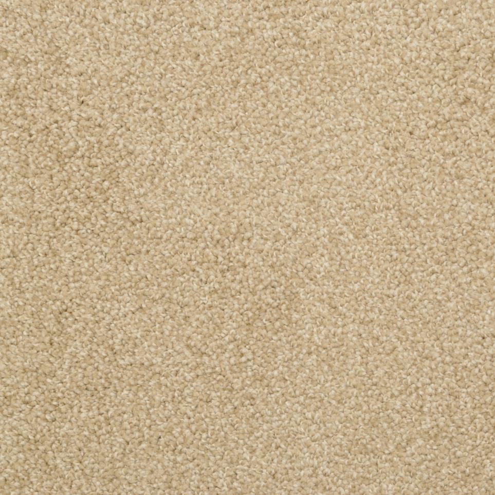 Casual Texture Camelite Beige/Tan Carpet