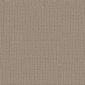 Pattern Barn Door Beige/Tan Carpet