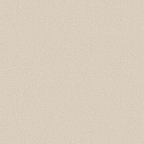 Textured Saxony Lace Beige/Tan Carpet