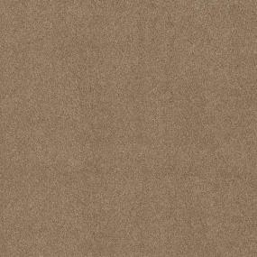 Textured Saxony Fawnwood Beige/Tan Carpet