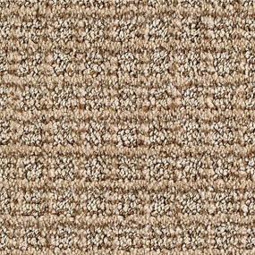 Pattern Pyramid Brown Carpet