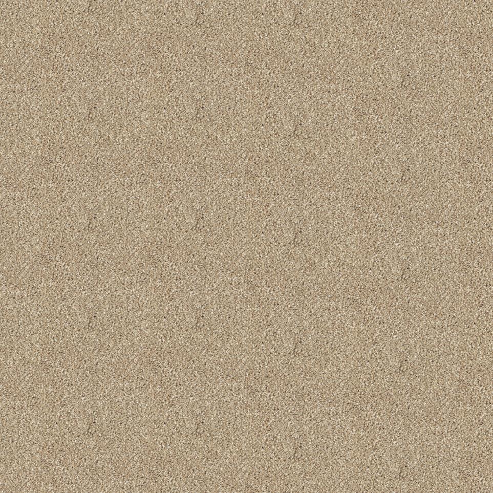 Texture Biscotti   Carpet