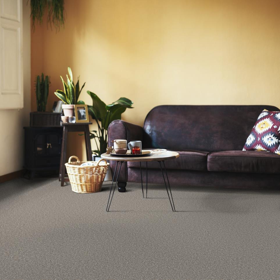 Texture Pebble Gray Carpet