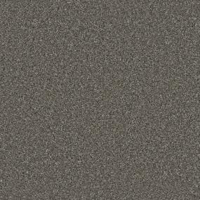 Textured Saxony Forever Gray Carpet