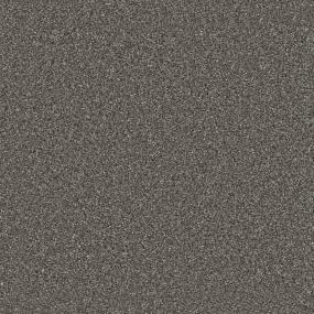 Texture Forever Gray Carpet