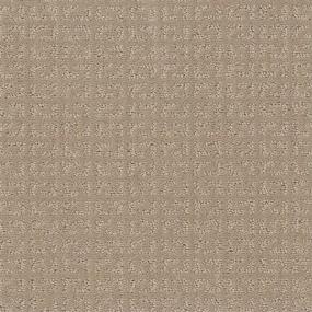 Loop Beach Party Beige/Tan Carpet